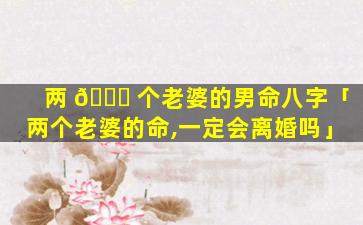 两 🐈 个老婆的男命八字「两个老婆的命,一定会离婚吗」